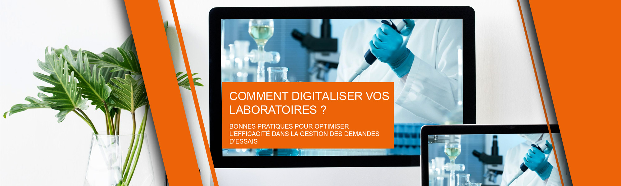 WEB Bannière Livre Blanc LIMS Digitalisation Laboratoire